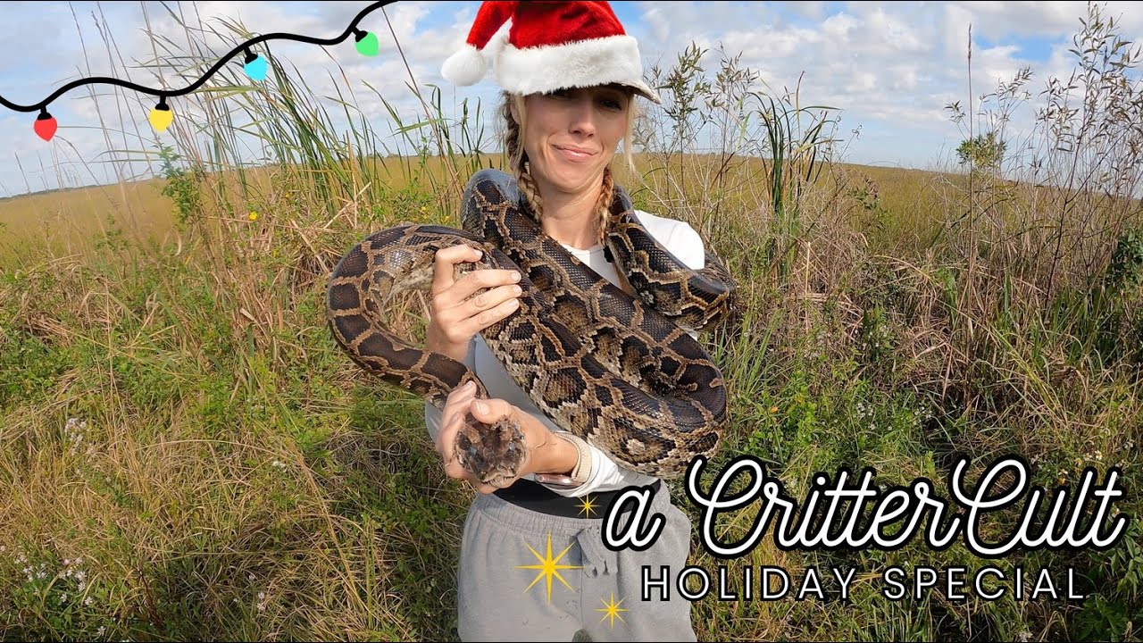 На Рождество будем ловить питонов в Эверглейдс!