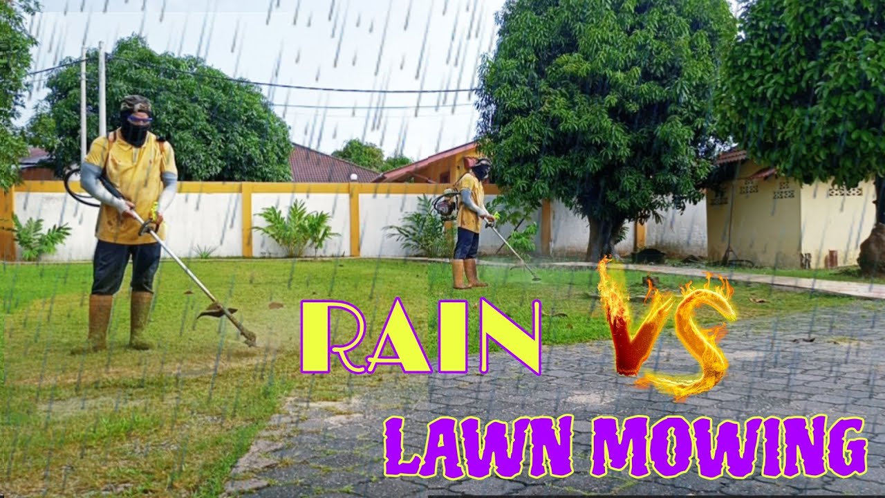It rained, and after the rain, we prepared to mow the lawn.🌾