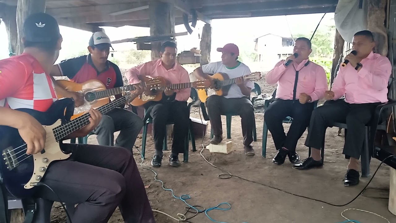Como flor de campo (bolero)