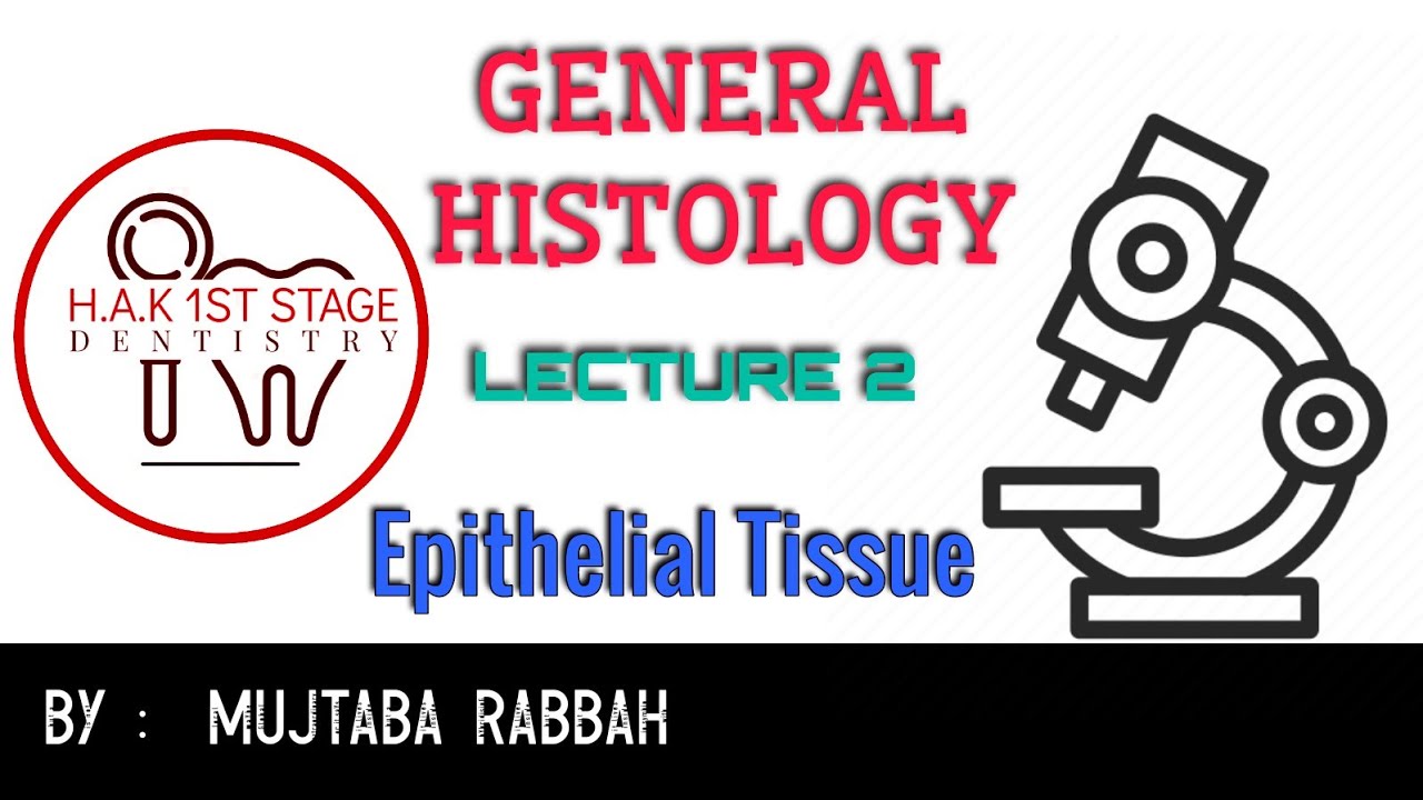 General Histology || Lecture 2 || Epithelial Tissue