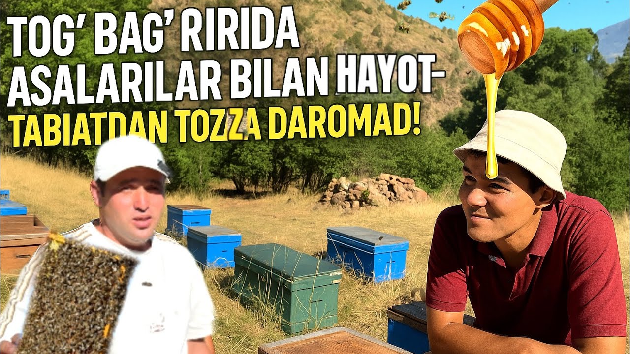 Asalarichilik 2025: Eng so‘nggi tajribalar va maslahatlar