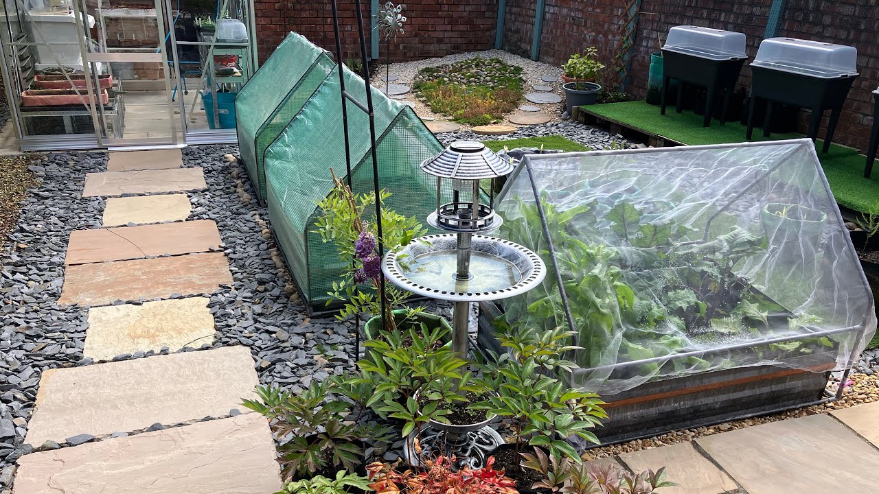 Krishna Garden Tour May 2023丨英國曼城後花園種花種菜