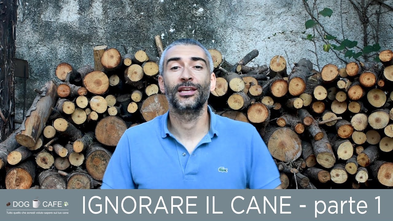Ignorare il cane - parte 1