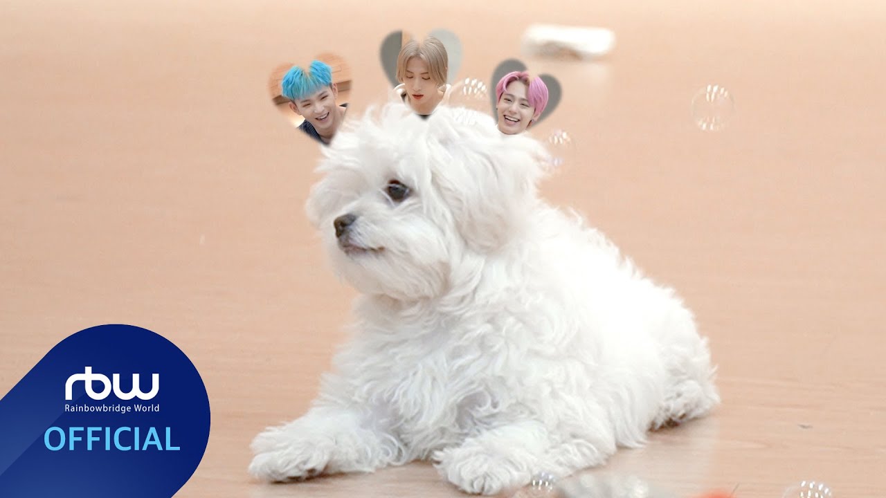 [ONEUS DO IT] 멈머유치원🐶🎒💕