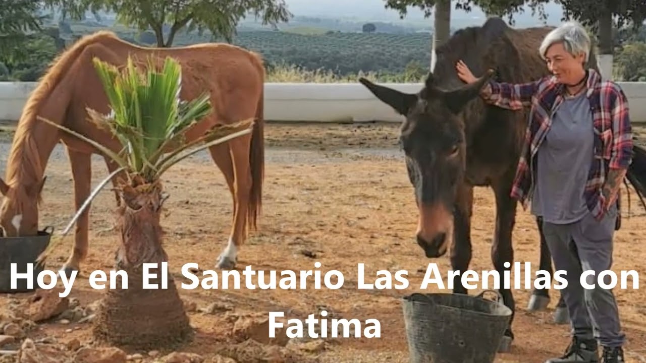 INGRESA EN PRISIÓN UN INDIVIDUO ACUSADO DE REITERADO MALTRATO EQUINO EN LA LÍNEA DE LA CONCEPCIÓN