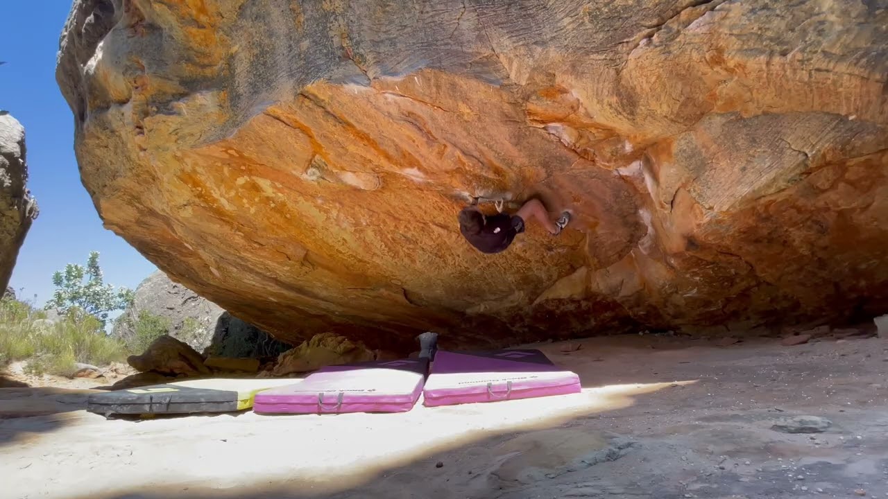 Max & The Vice (8B/V13)
