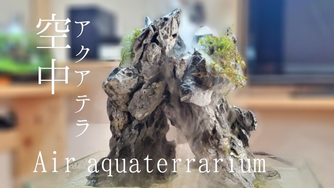 アクアテラリウム浮かせてみた