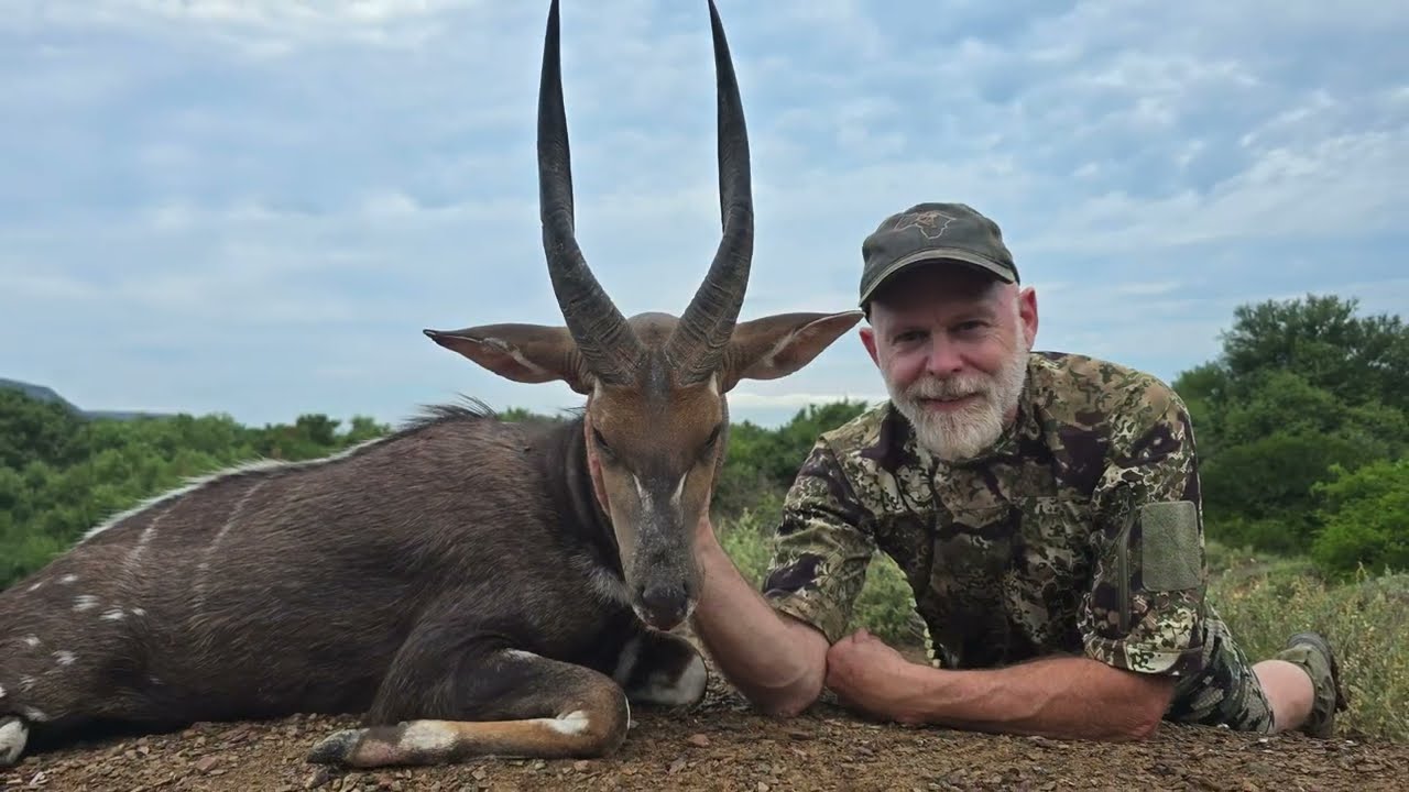 Hunting Bushbuck in South Africa