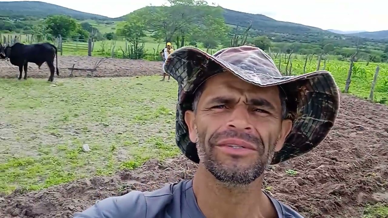 Arando terra em mata grande Alagoas