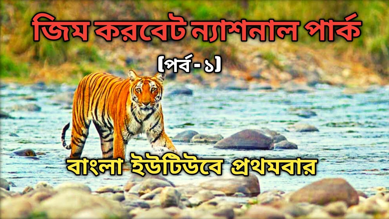 Jim Corbett National Park | বাংলায় প্রথমবার | প্রথম পর্ব