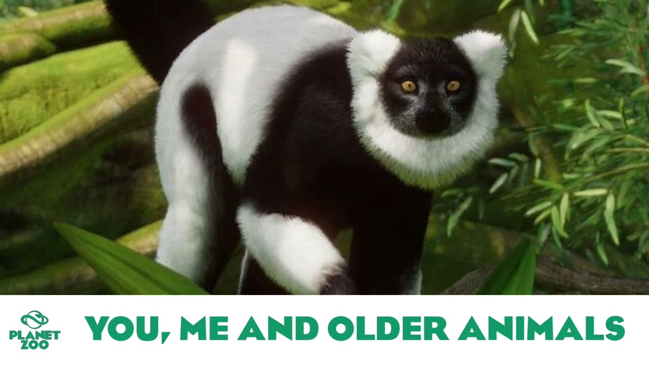 Classical: You, Me and Older Animals - Planet Zoo Music/Base Game