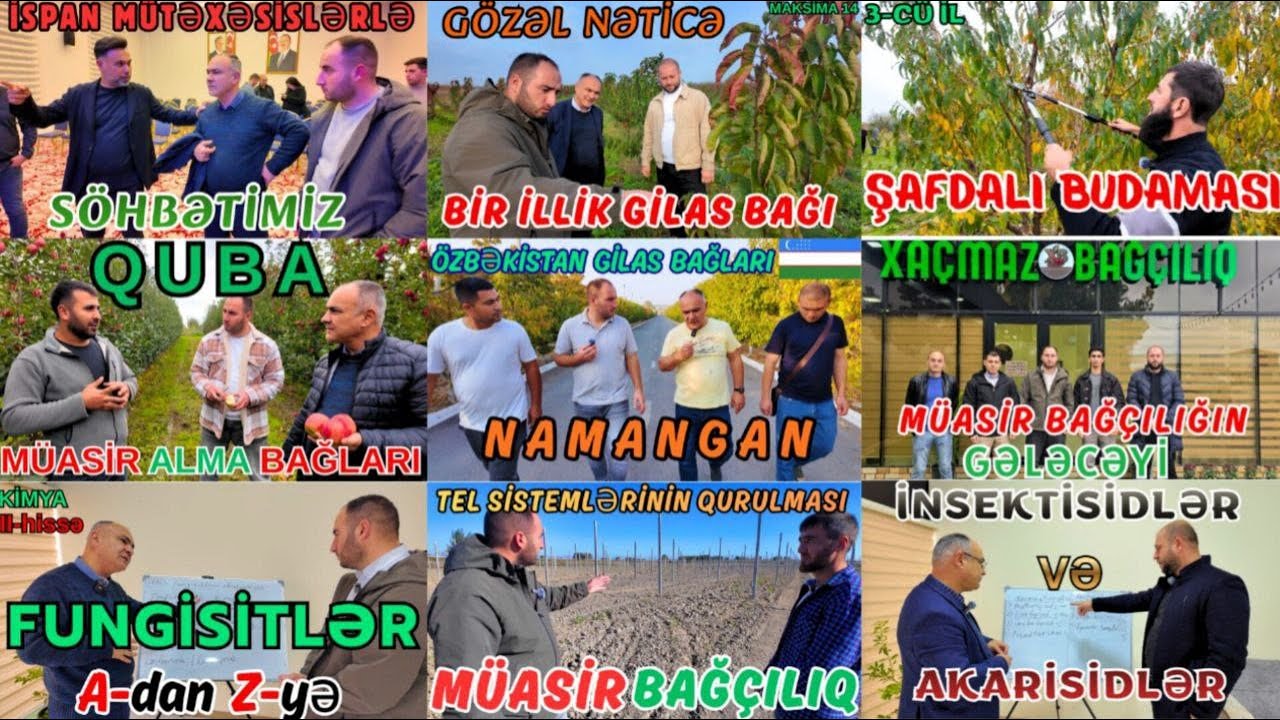 BAĞÇILIQDA 2025 ci-ilin sonu.