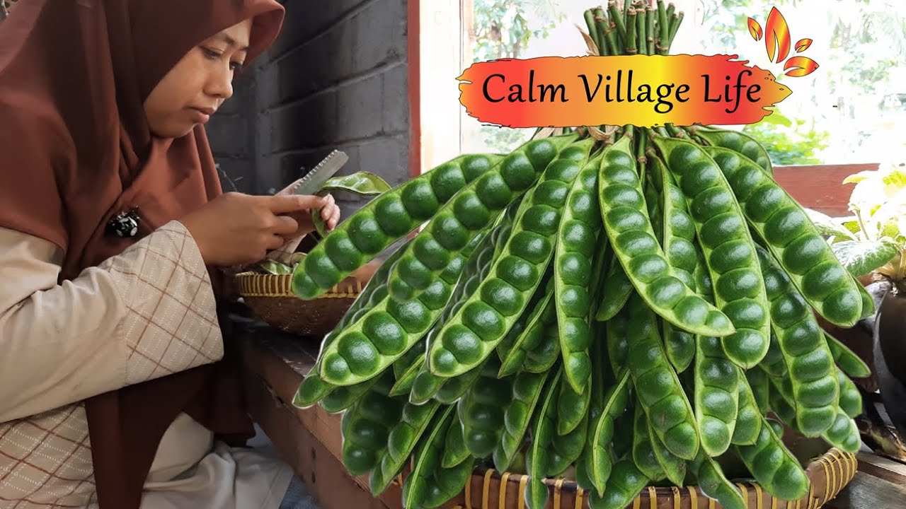 Cozy Village Life | Slow Living, Nature Scenes & Stink Bean (Petai) Moments