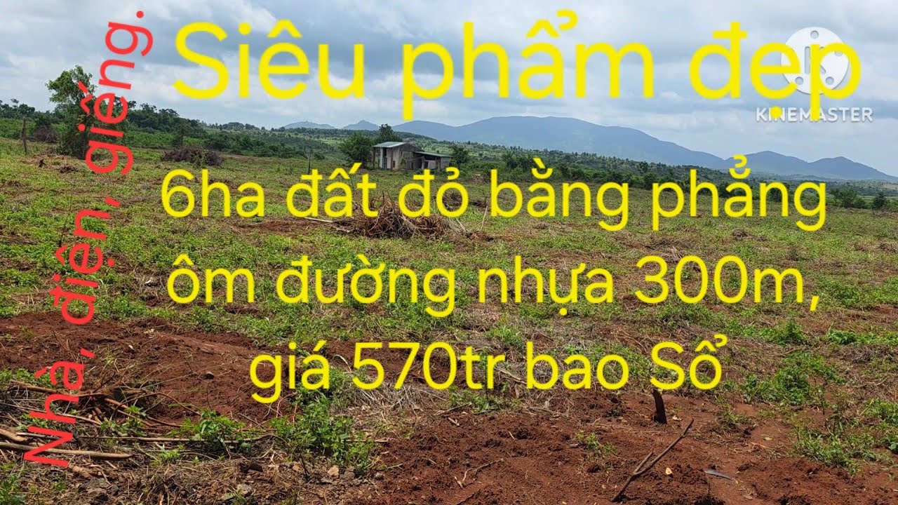 6ha đất đỏ bằng phẳng ôm đường nhựa khoảng 300m,giếng tưới, điện, nhà ở, sân bê tông, lh 0822727679.