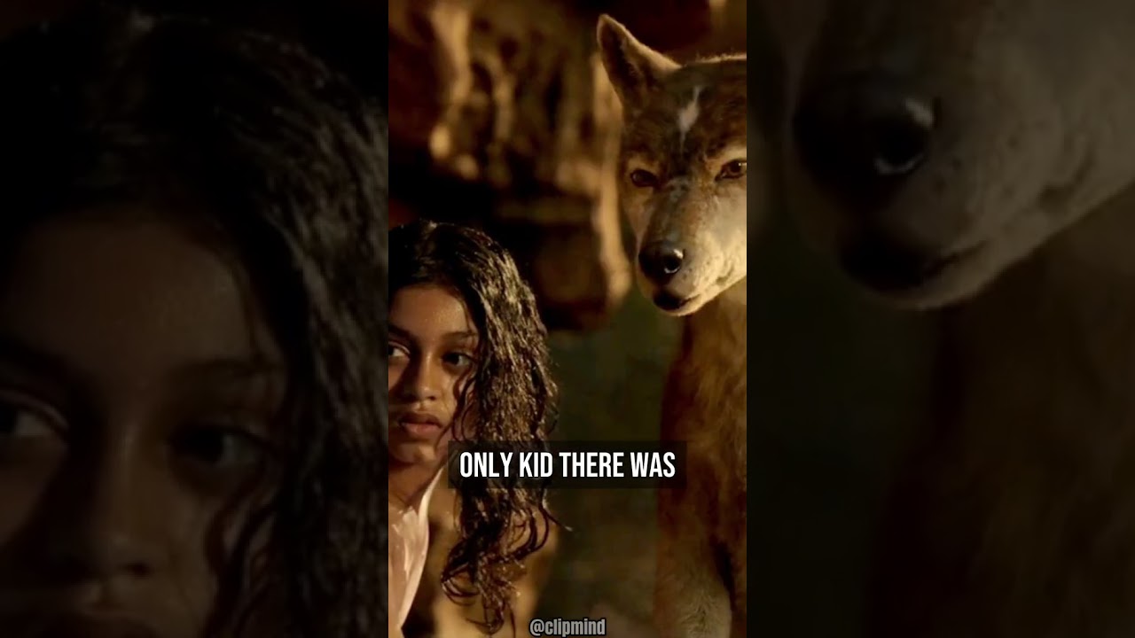 The boy who was raised by wolves.  #joerogan  #india