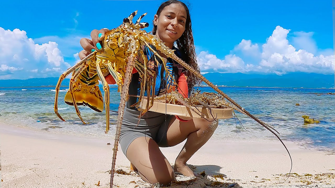 LOBSTER Hunting on Remote Island - Catch n Cook on the Beach