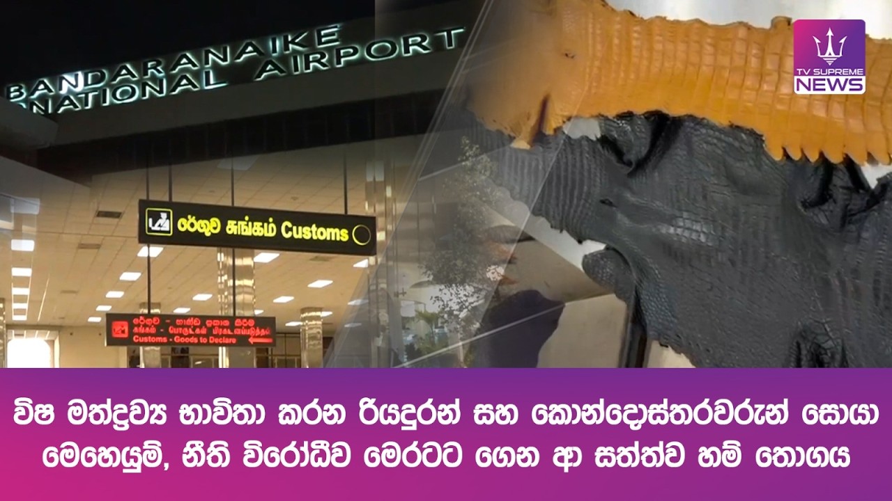 විෂ මත්ද්‍රව්‍ය භාවිතා කරන රියදුරන් සහ කොන්දොස්තරවරුන් සොයා මෙහෙයුම්