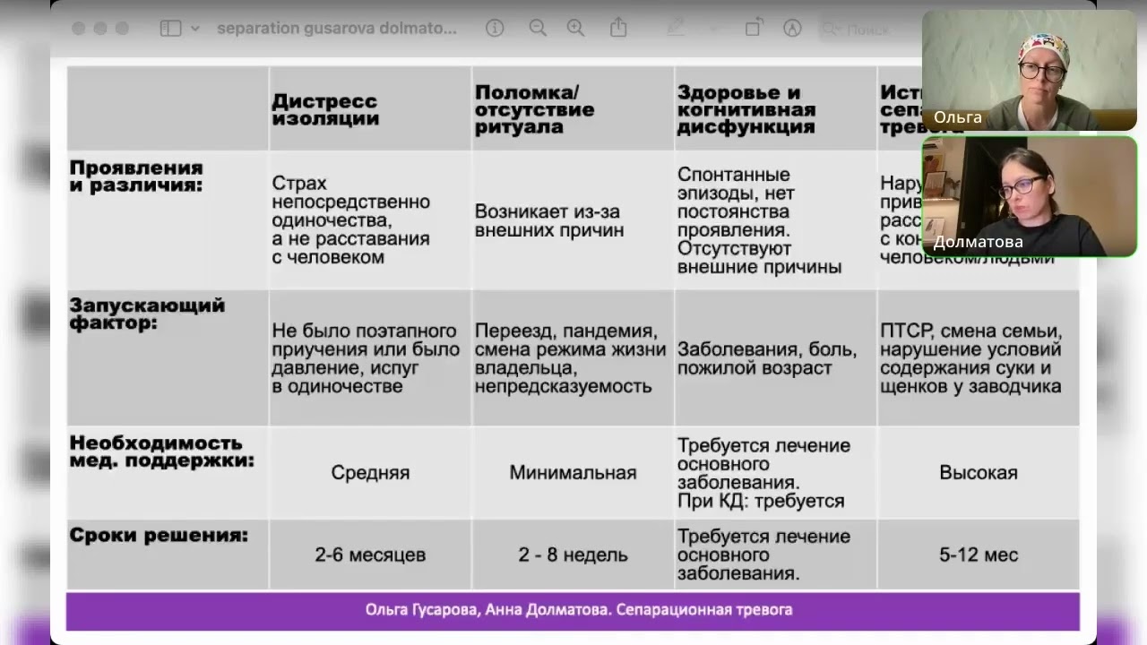 Сепарационная тревога у собак