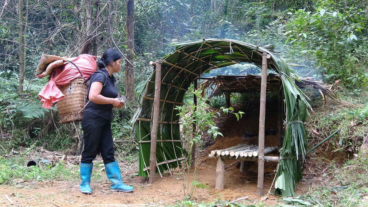 Survive in the rainforest, Homeless girl build shelter to serve as a safe haven