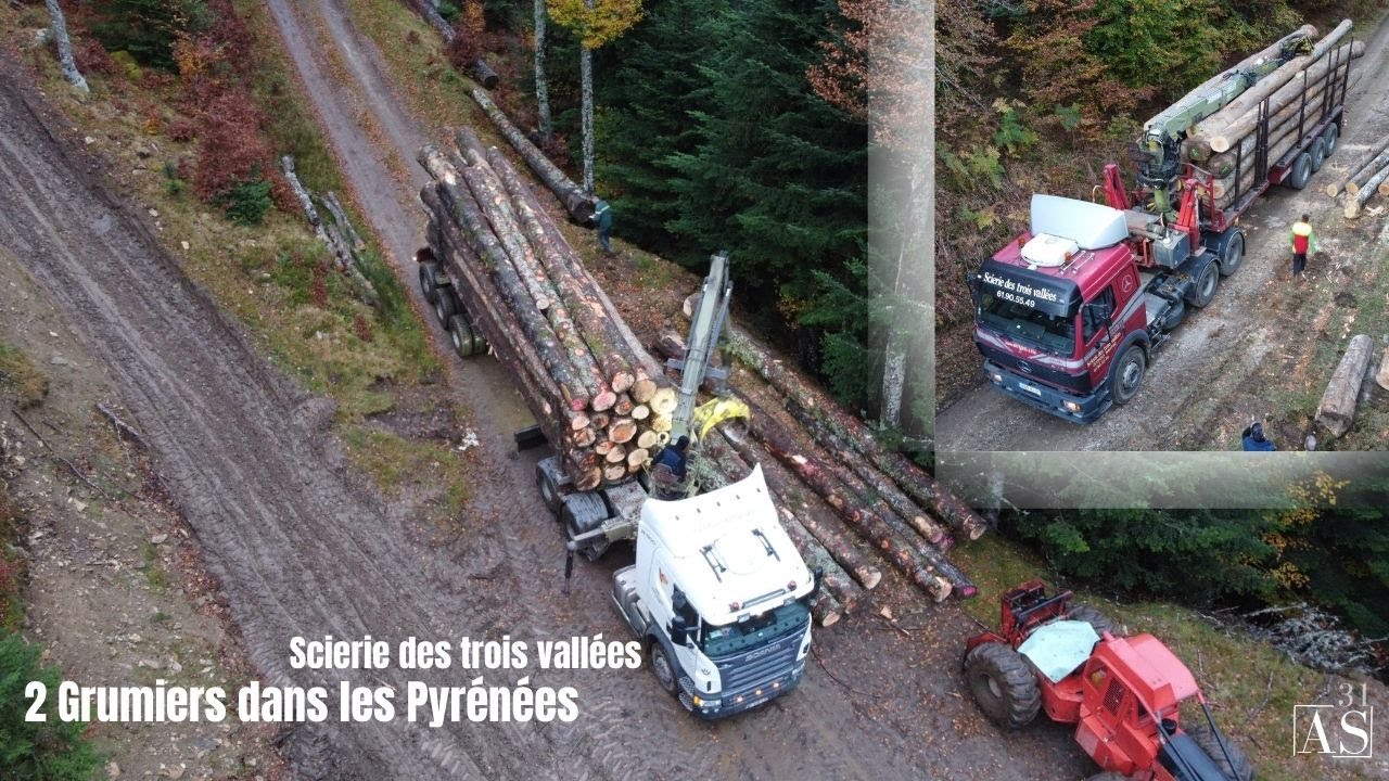 🌲Les frères BOTTAREL et leur 2 ensembles grumiers ! Scania V8/Mercedes 2648 [Scierie des 3 vallées ]