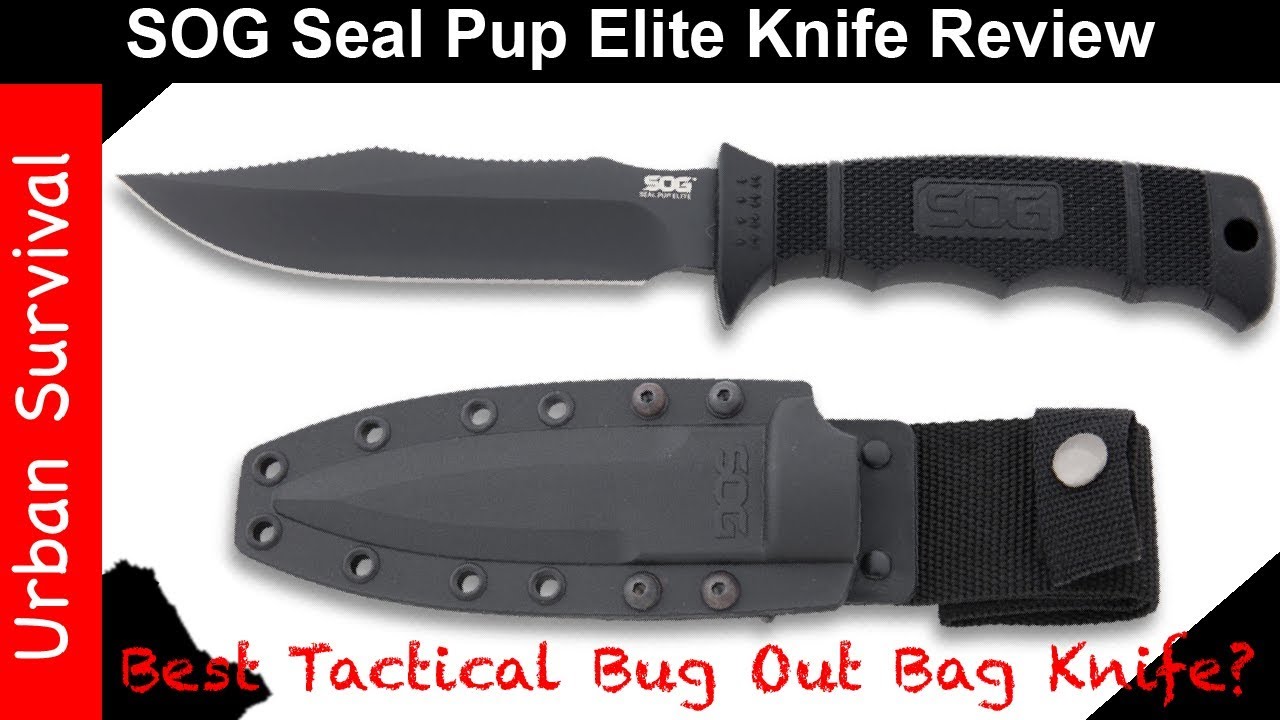 SOG Seal Pup Elite Review 🔪 Best Lightweight Tactical Knife for 2025?