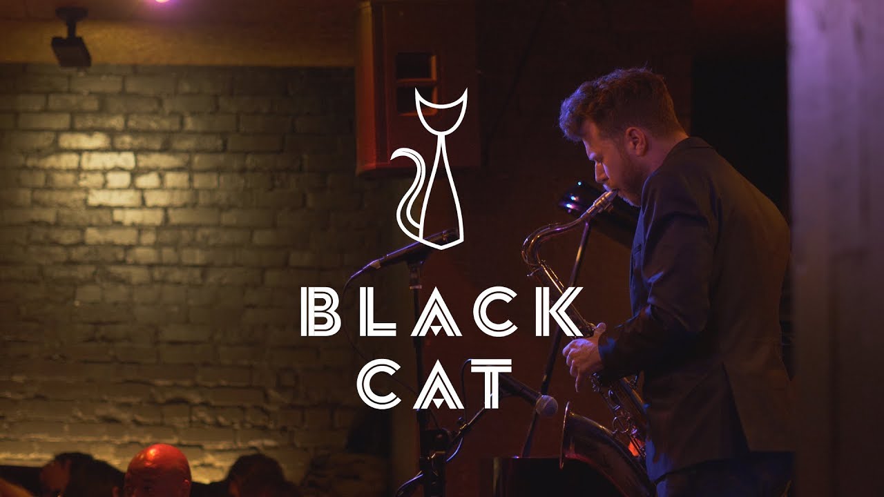 One (Magical) Night at Black Cat