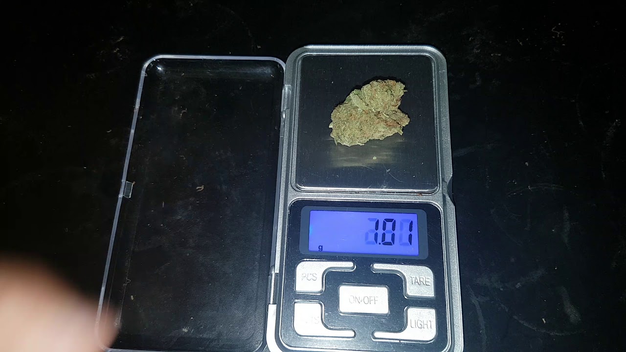 WHAT 1G OF WEED LOOKS LIKE (HAZE STRAIN)