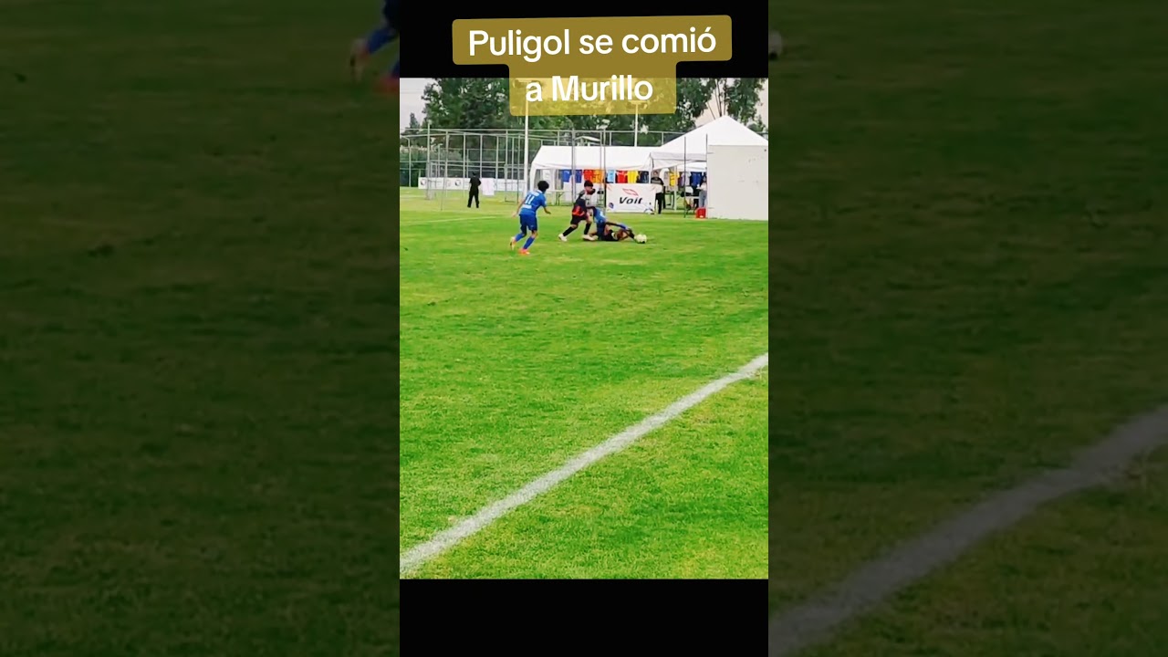 Puligol murillo
