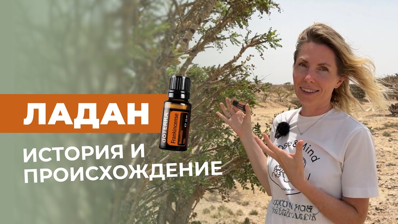 Плантация Ладана в Омане | История и происхождение Ладана doTERRA