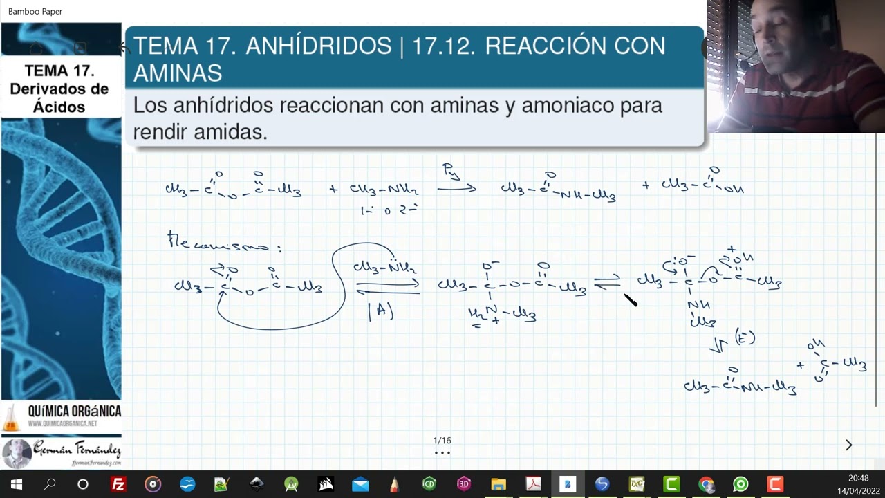 TEMA 17. ANHÍDRIDOS | 17.12. REACCIÓN CON AMINAS Y AMONIACO