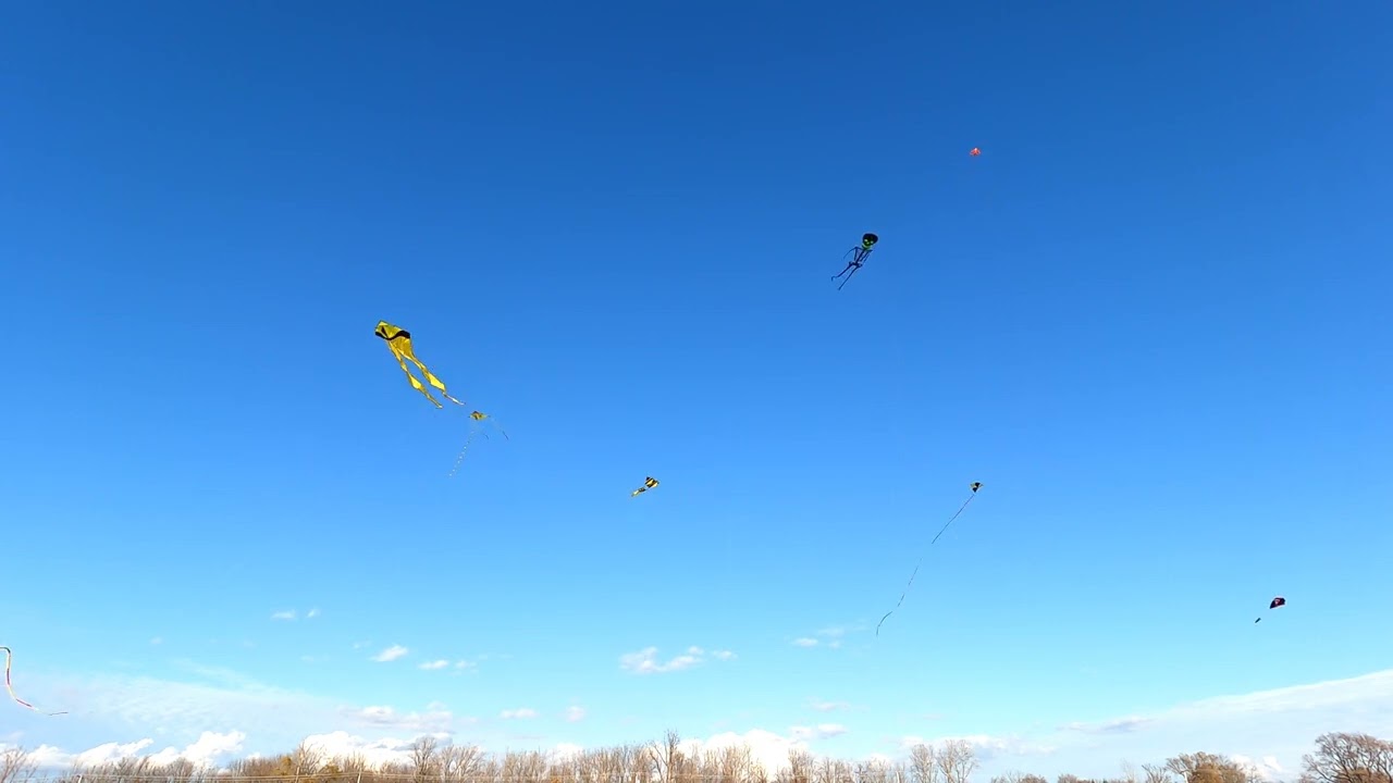 Kite flying ASMR Gratwick Park North Tonawanda New York November 2022