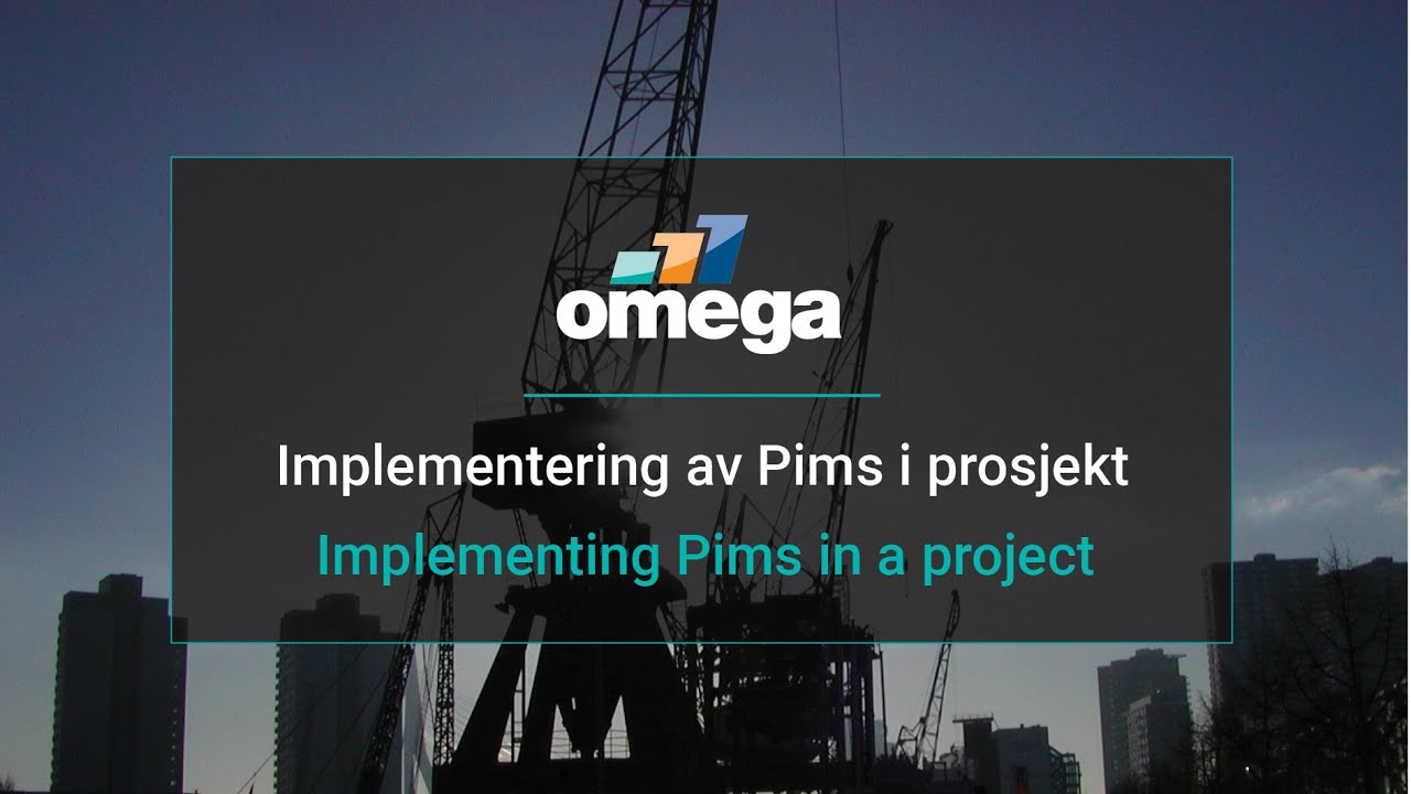 Implementing the Project Management Systems, Pims in a project