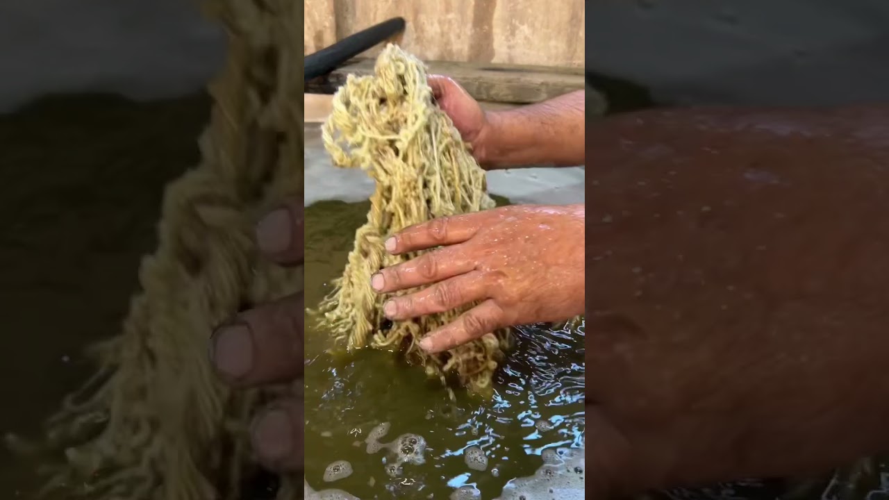 It&rsquo;s #magic. Look how the colour changes in contact with air. #rugrepair #restoration #rug #wool