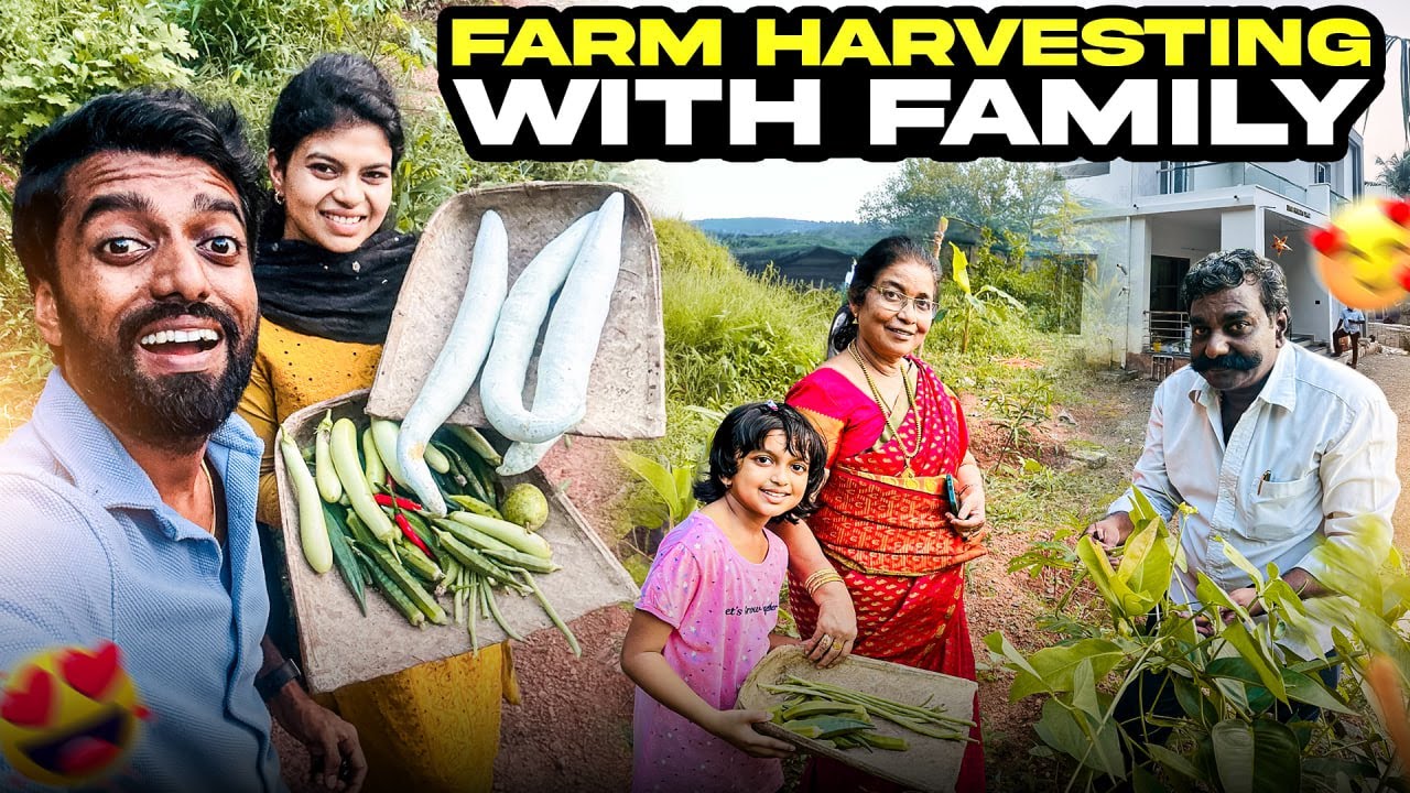 Harvest Day at Our Farm with Family 🌾✨ | DAN JR VLOGS
