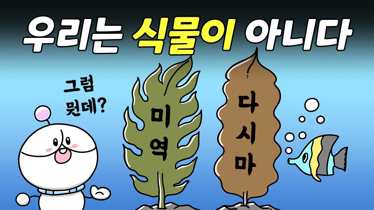 미역은 바다의 식물이 아니다 | 해조류란?
