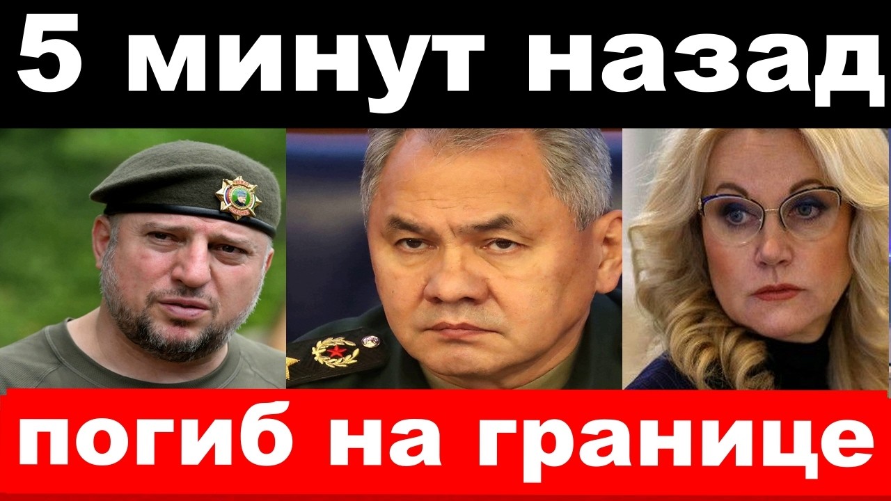 действие Алаудинова /уход  Шойгу/несчастье у Голиковой/новости