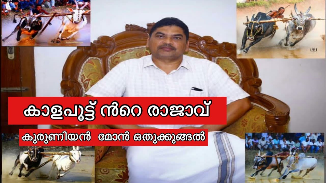 Kalapoot king kuruniyan mon 🔥🔥🔥കാളപൂട്ട്കണ്ടത്തിൽപകരംവെക്കാനില്ലാത്ത രാജാവ്കുരുണിയൻമോൻഒതുക്കുങ്ങൽ