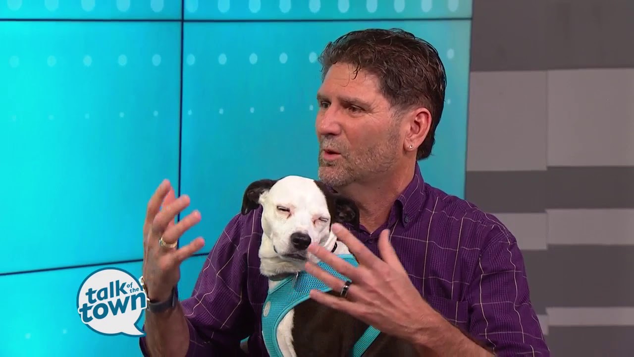 Watching out for Signs and Symptoms of Cancer in Pets