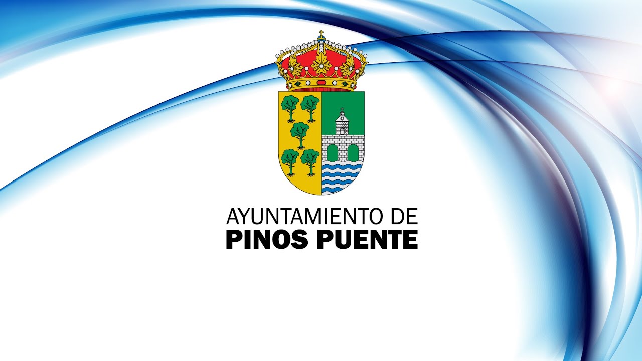 PLENO EXTRAORDINARIO DEL AYUNTAMIENTO DE PINOS PUENTE PLN/2025/9