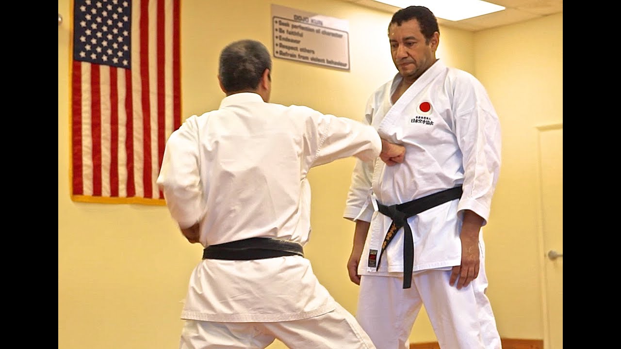 Master Osaka Explains Punching Oi Zuki