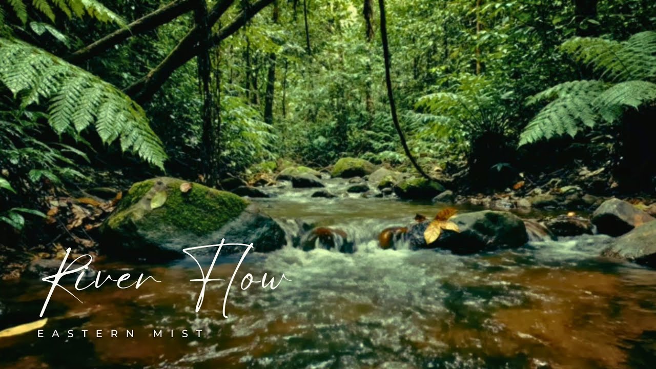 White Noise River for Better Sleep | Natural Stream (2 Hours)