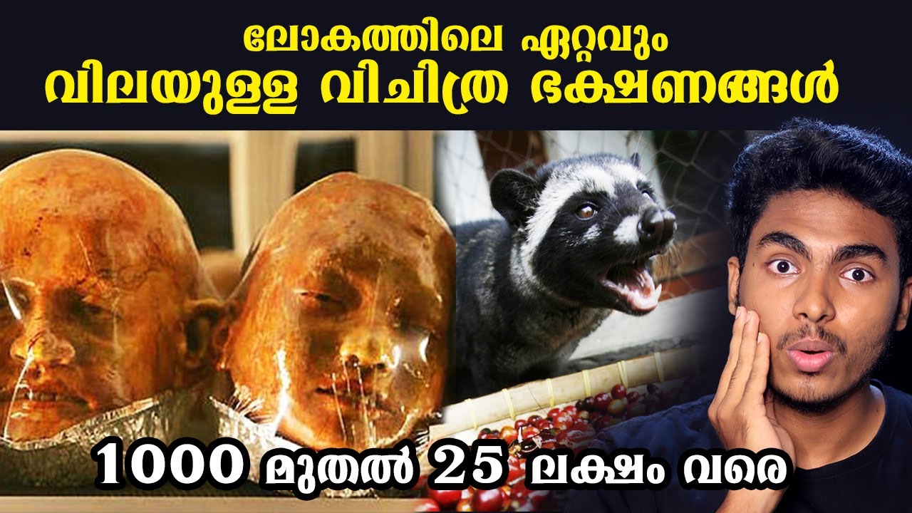 അമ്പോ ഇങ്ങനെയും ഭക്ഷണങ്ങളോ ?!!  MOST EXPENSIVE FOODS |  MALAYALAM l AFWORLD