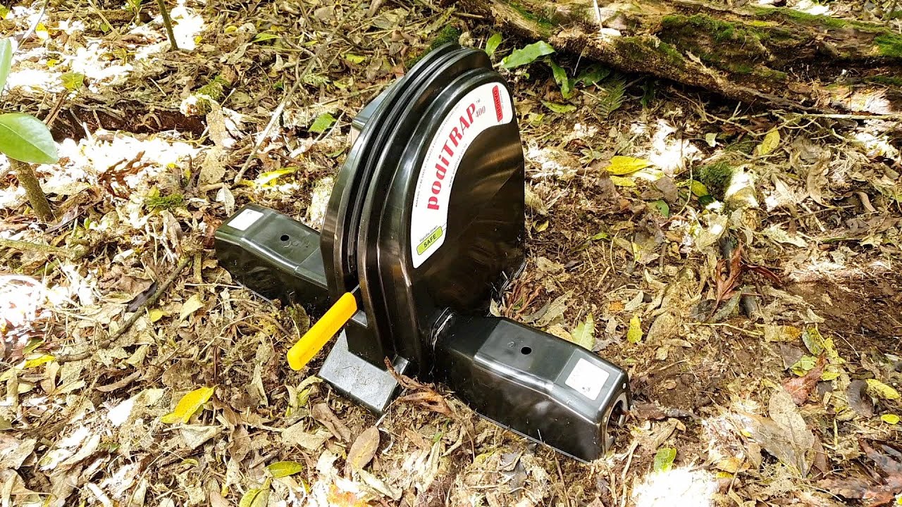 PodiTRAP trap tips with Emily Roberts - Taranaki Regional Council