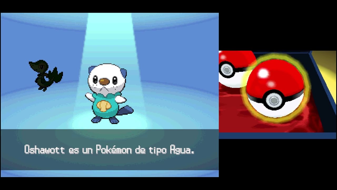 Pokémon Negro [#1] - Conchaataque