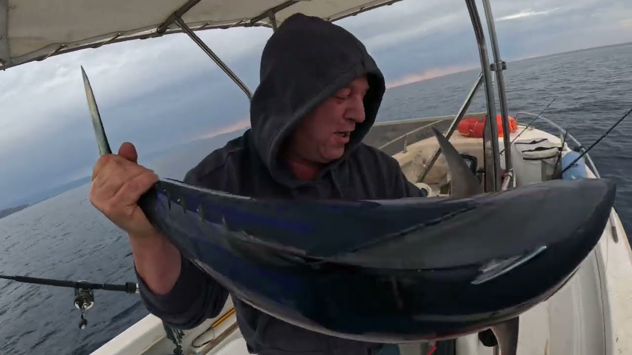 Traina costiera sul mar ionio. Tonno Striato da 25 kg.