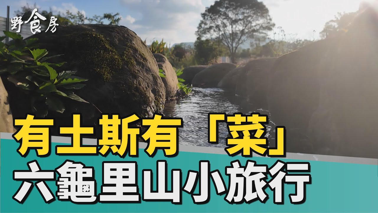 野食房｜有土斯有「菜」 六龜里山小旅行
