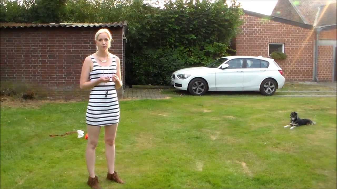 Rückruf! Wie bringe ich meinem Hund bei zu mir zurück zu kommen? Hundetraining