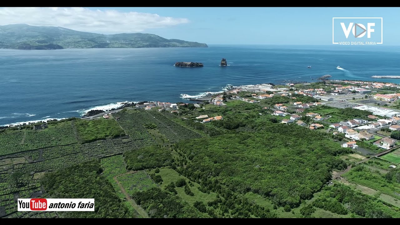 Arredores da Vila da Madalena Ilha Pico Açores «Vista Aérea»