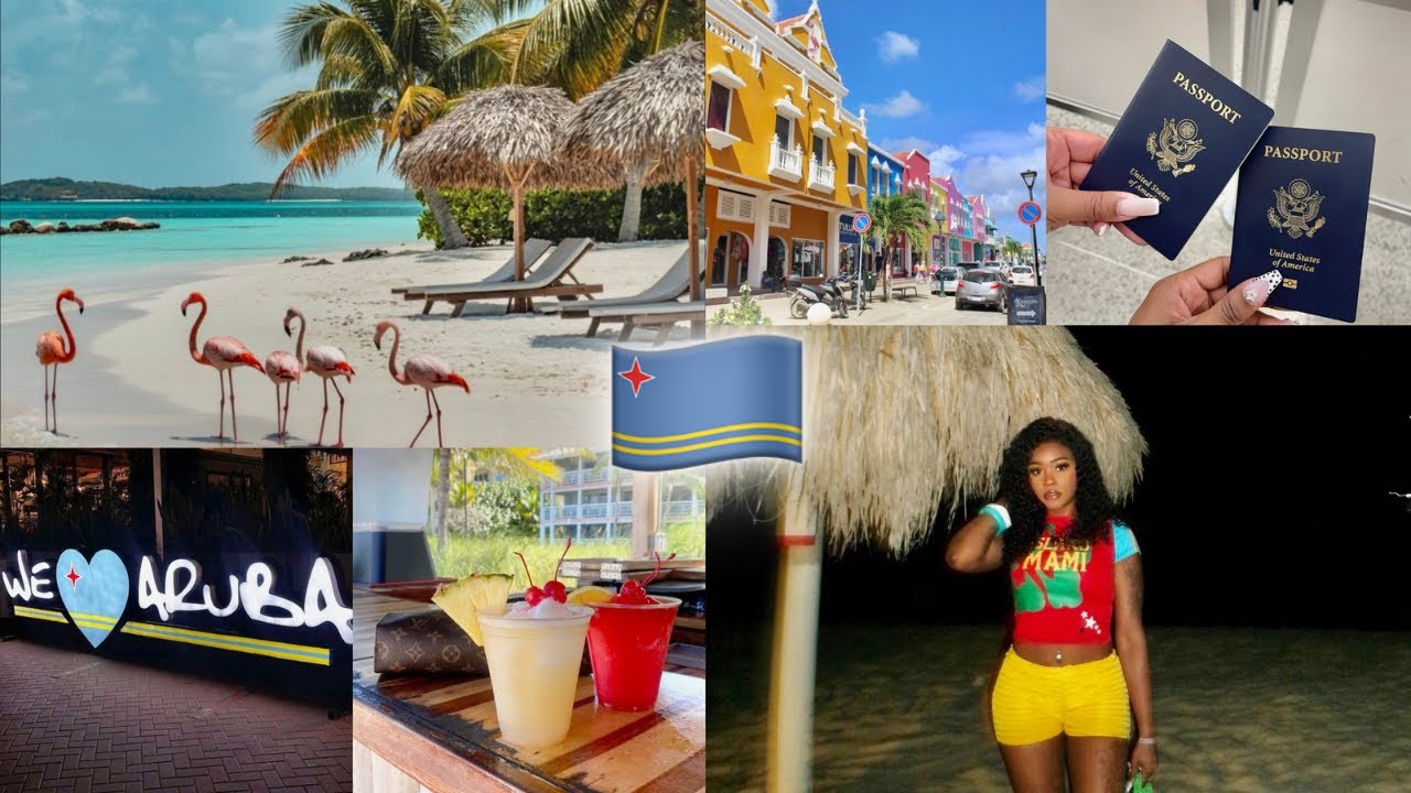 ARUBA VLOG 🇦🇼: Flamingo Beach, ATVs, Party Bus & MORE