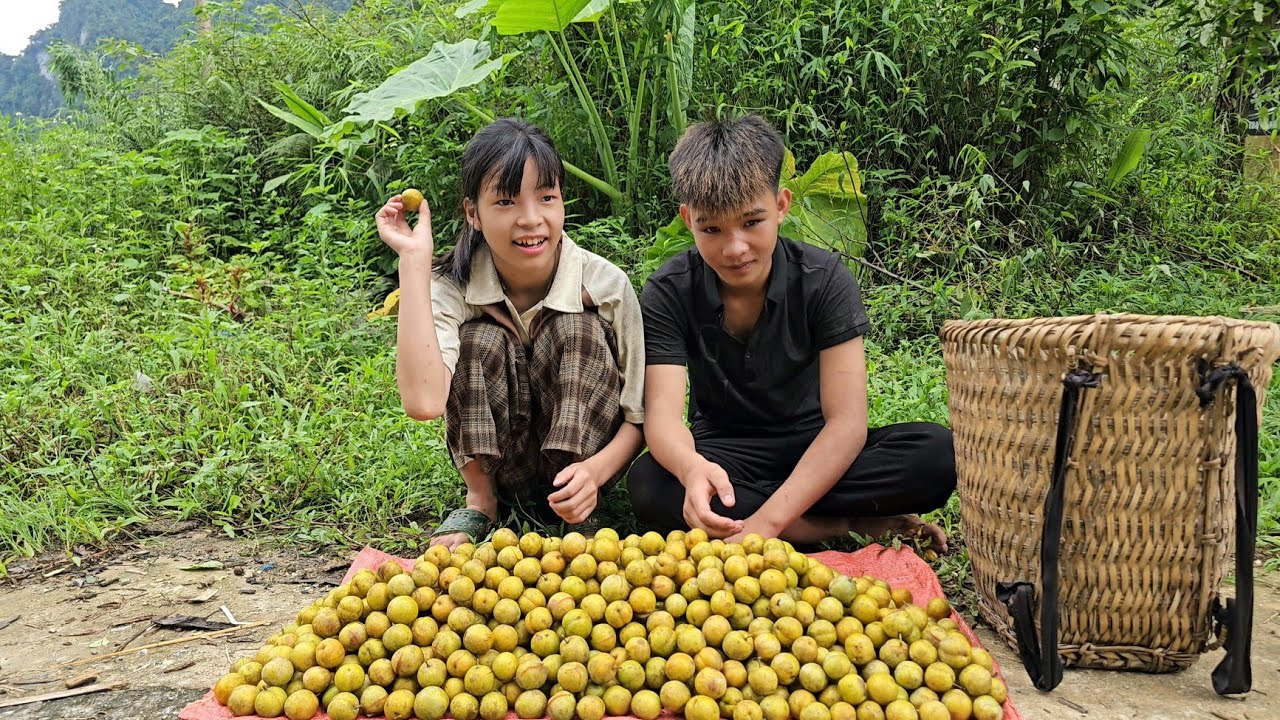 Homeless boy and poor girl pick fruit to sell, take a bath - Homeless Boy